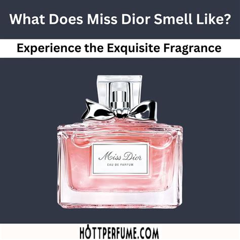 miss dior men|what does miss dior smell like.